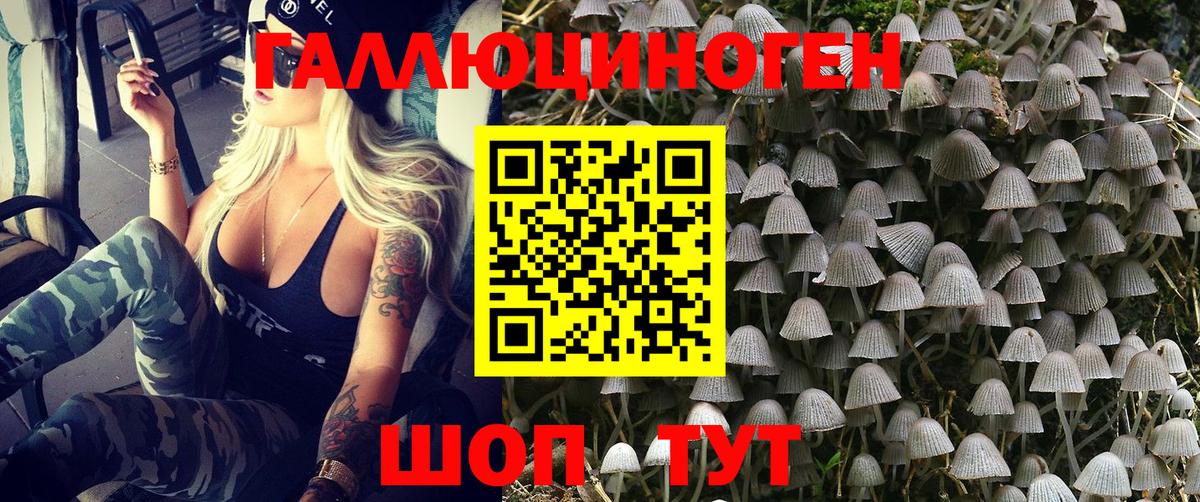 Галлюциногенные грибы Psilocybe  сколько стоит  Кызыл  Вход с VPN  Псилоцибиновые грибы GOLDEN TEACHER 