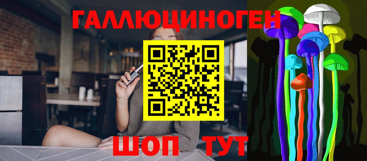 ГАШ Кызыл